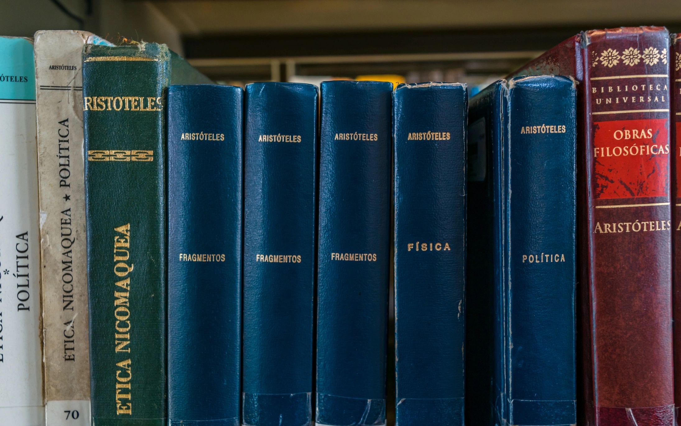 Books arranged on a shelf for literature reading