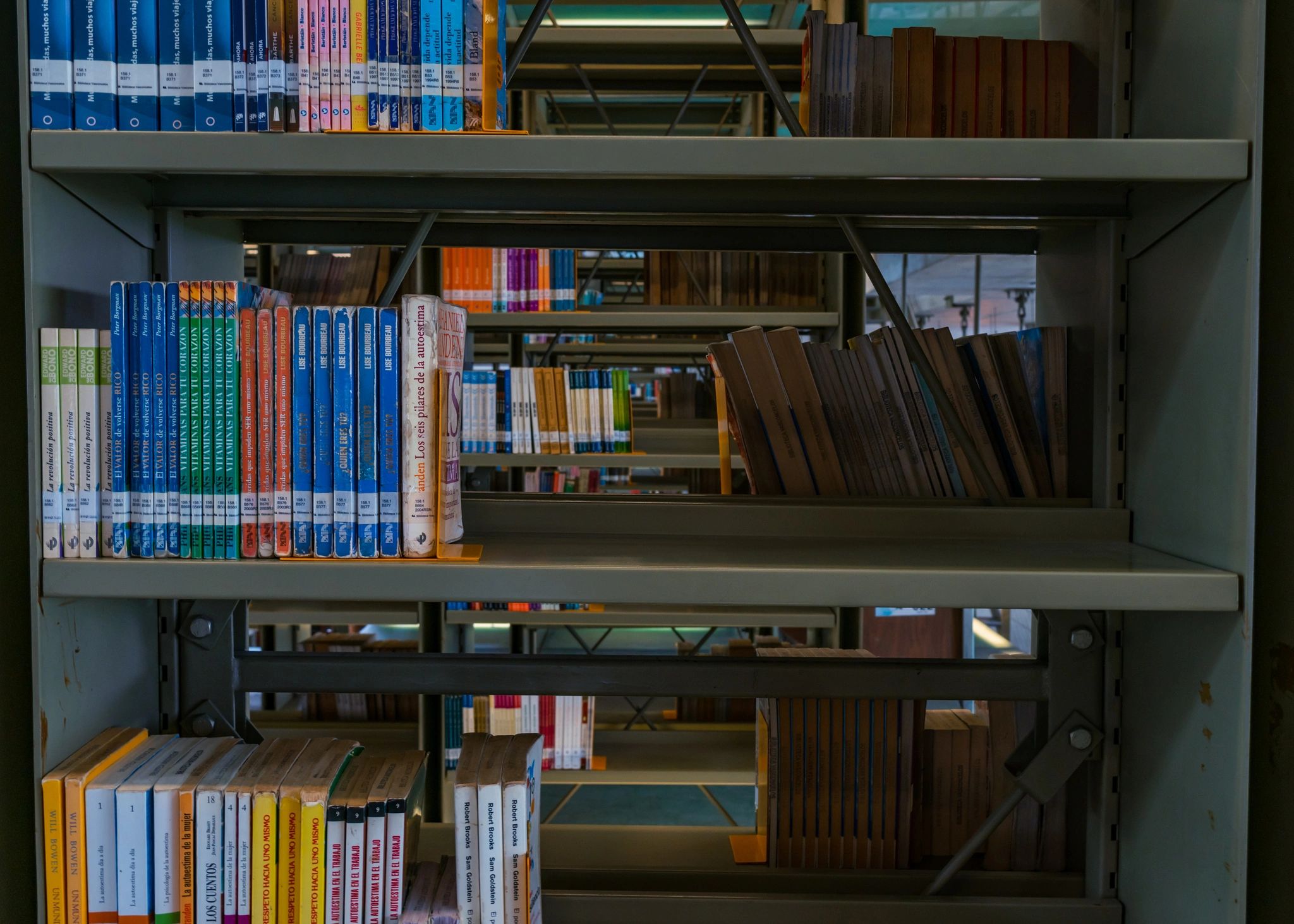 Rows of books in a library