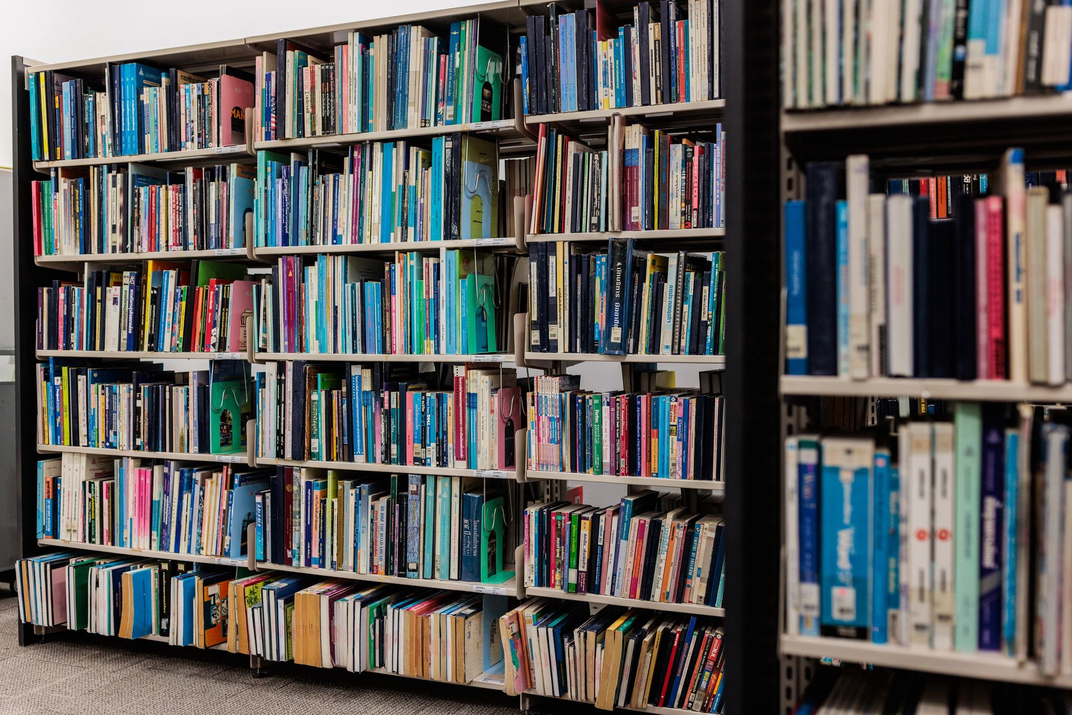 Library interior representing curated literary publications