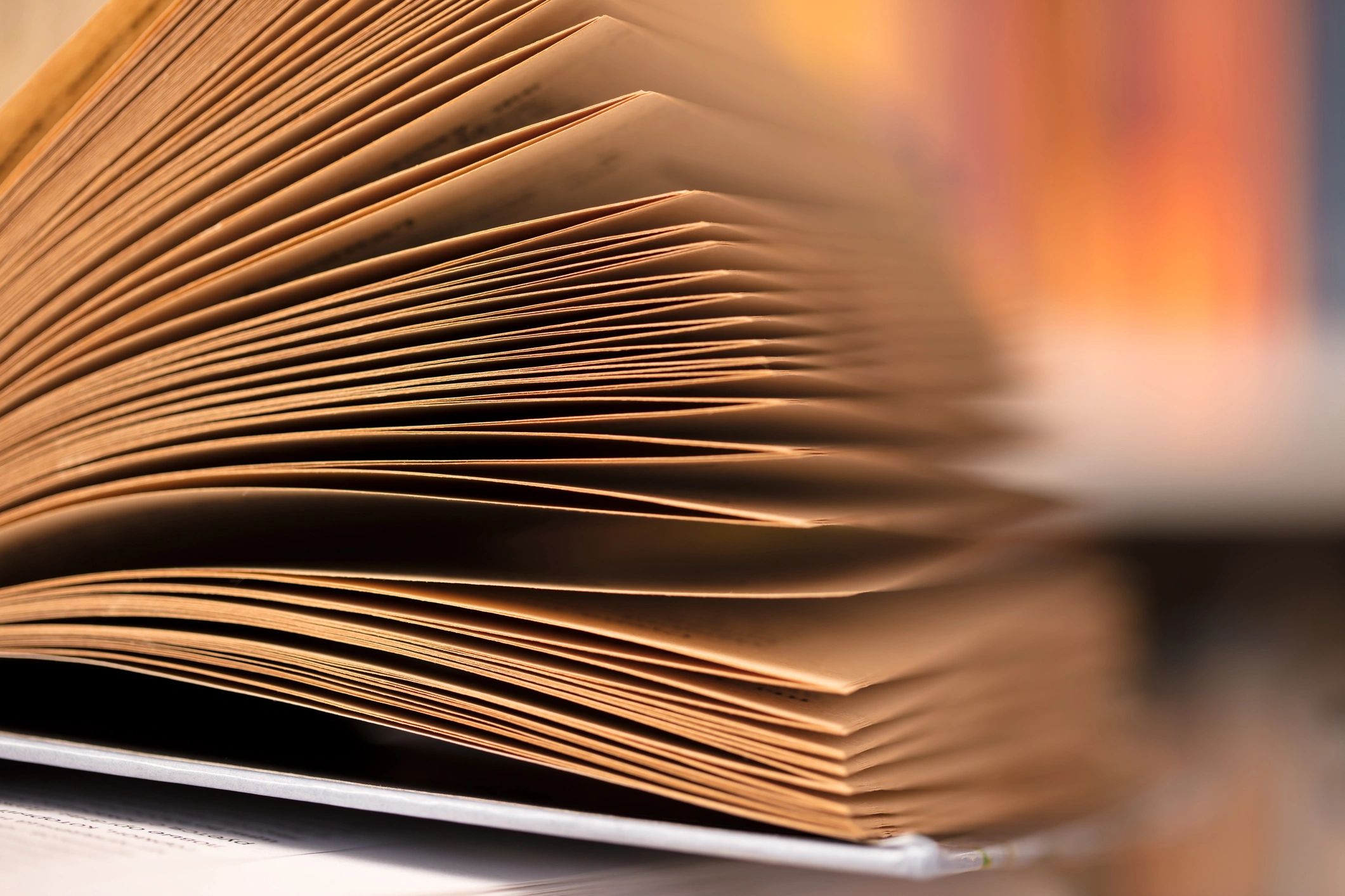 Open book pages representing long-form editorial reading